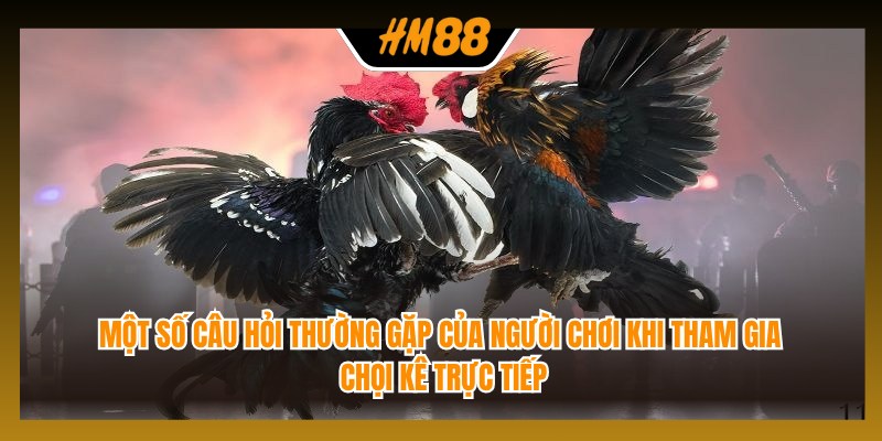 Một số câu hỏi thường gặp của người chơi khi tham gia chọi kê trực tiếp